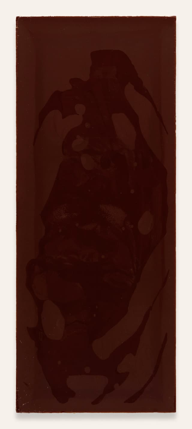 Back of Bejofo Estate MADAGASCAR 64% Dark Milk Chocolate bar made by Monsoon Chocolate in the United States