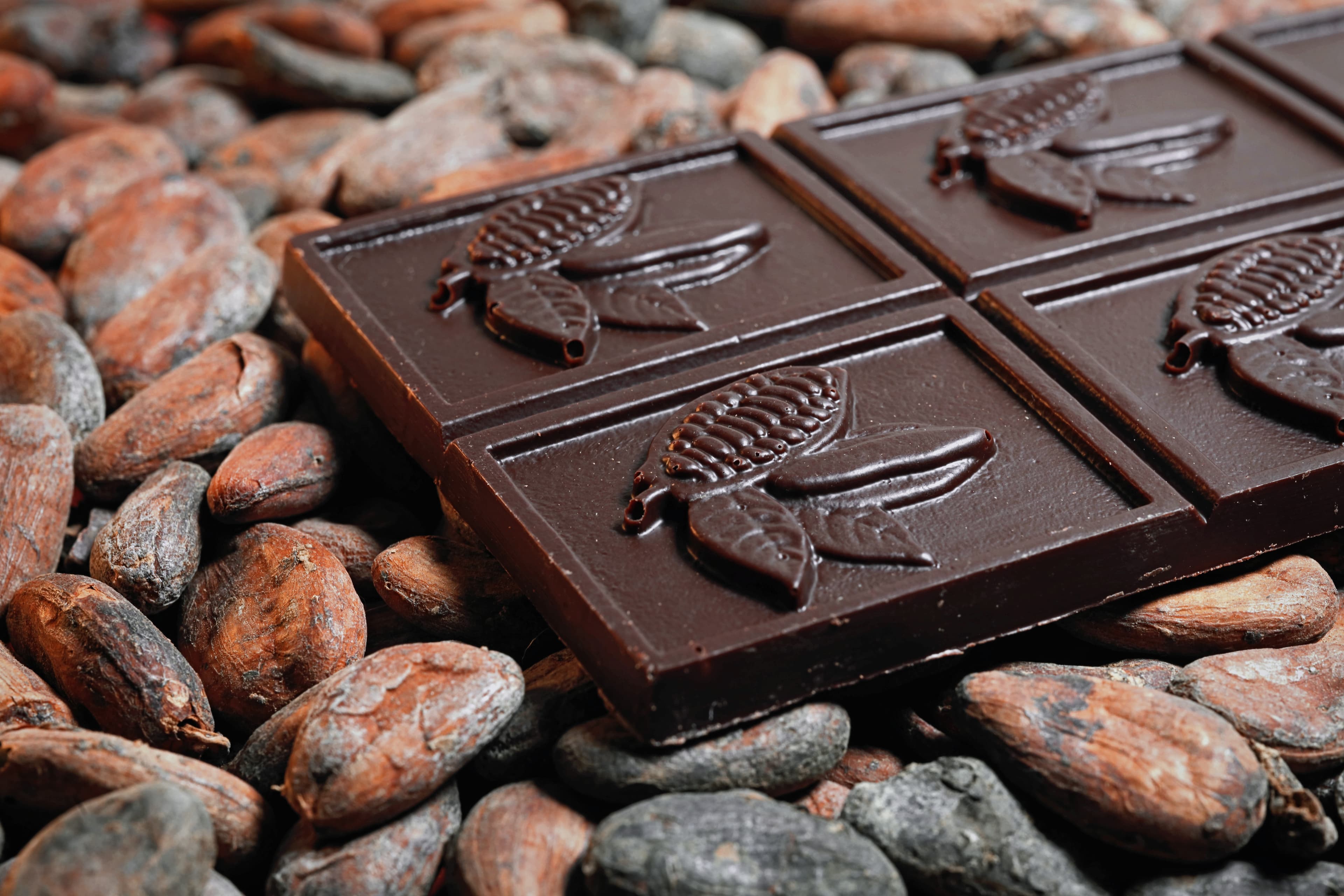 Powerhouse Bar 70% Cocoa bar made by Chocolat Hanalei in the United States macro shot of the bar on top of cacao beans.