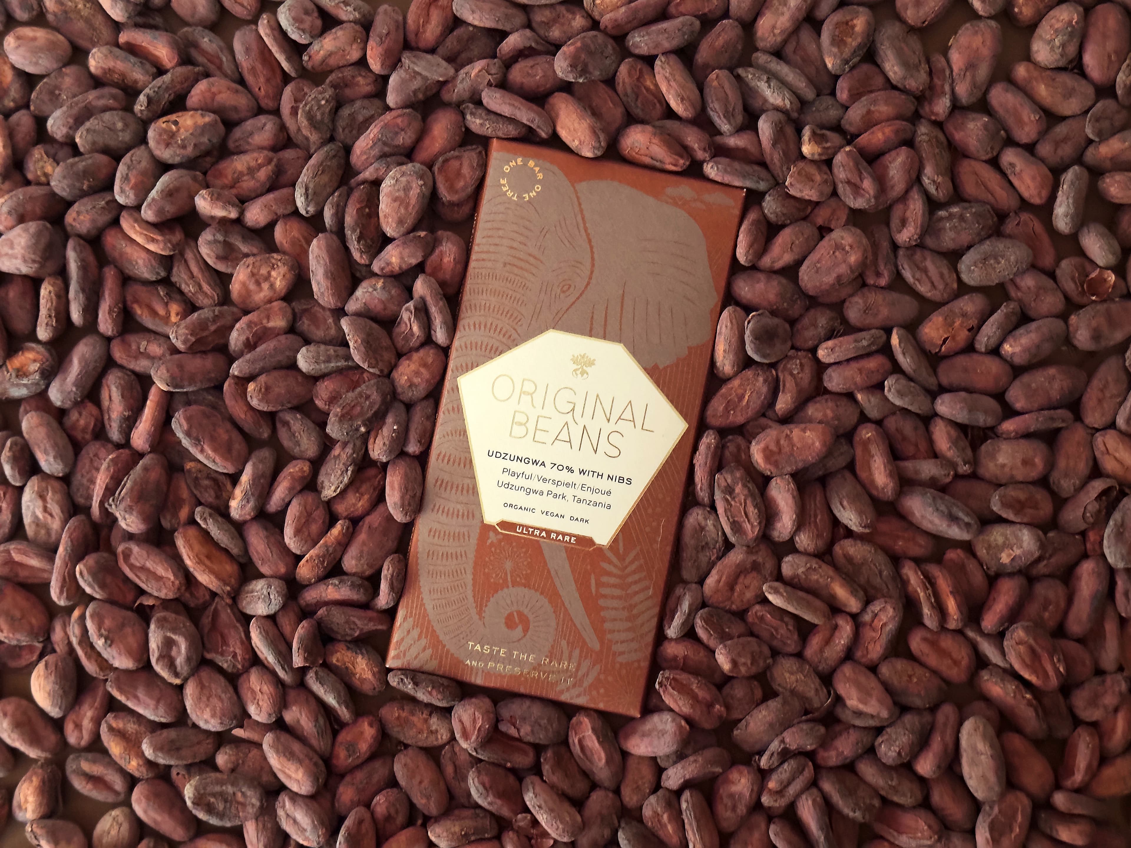 Udzungwa 70% with Nibs Organic Vegan Dark bar from Original Beans embedded in a pile of cacao beans